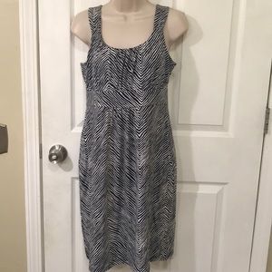 Ann Taylor Striped Dress